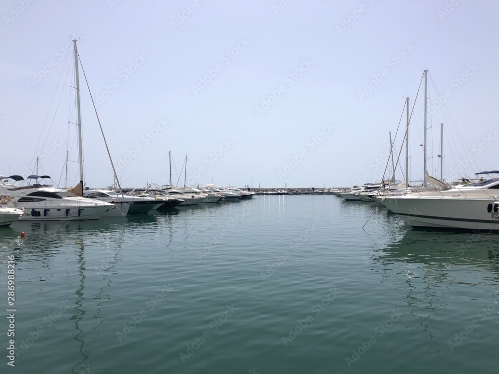 yachts in harbor