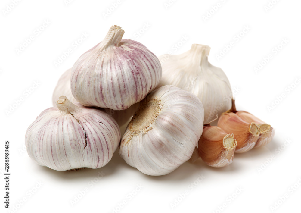fresh garlic isolated on white background fresh garlic isolated on white background