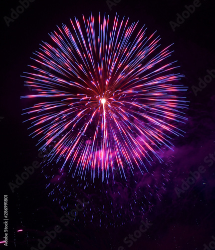 Vibrant pink, purple, and blue chrysanthemum firework exploding against a night sky during a firework display