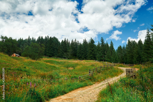 Beautiful summer landscape - country road on hills with spruces, wooden fence, cloudy sky at bright sunny day. Village with wooden homes. Carpathian mountains. Ukraine. Europe. Travel background.