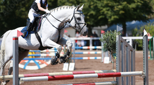 Horse on a jumping tournament, photographed in flight over the obstacle..