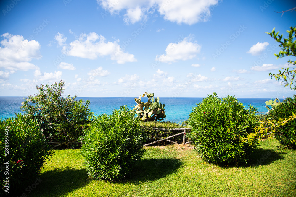 Prickly pears on the sea, Calabria, prickly pears on the tree Prickly pears on the sea, Calabria, prickly pears on the tree