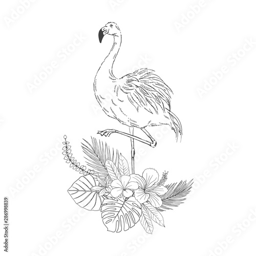 Flamingo on flowers bouquet hand drawn sketch. Elegant exotic bird standing on one leg engraving. Tropical foliage and blossom black ink illustration for minimalist postcard, invitation card design