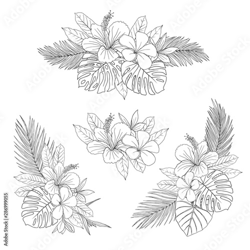 Wallpaper Mural Exotic flowers bouquets hand drawn sketches set. Monstera and palm leaves with tropical plant blossom black ink illustrations. Monochrome botanical postcard decor, sketchy invitation design elements Torontodigital.ca
