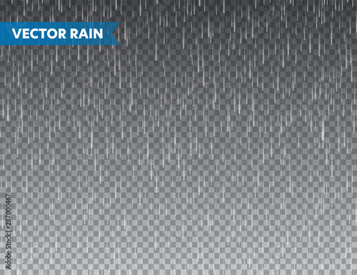 Realistic rain texture on transparent background. Rainfall, water drops effect. Autumn wet rainy day. Vector illustration.