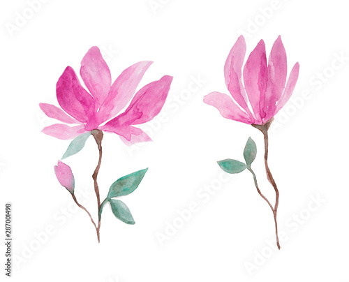 Pink magnolia flowers watercolor painting set - hand drawn blossom isolated on white background