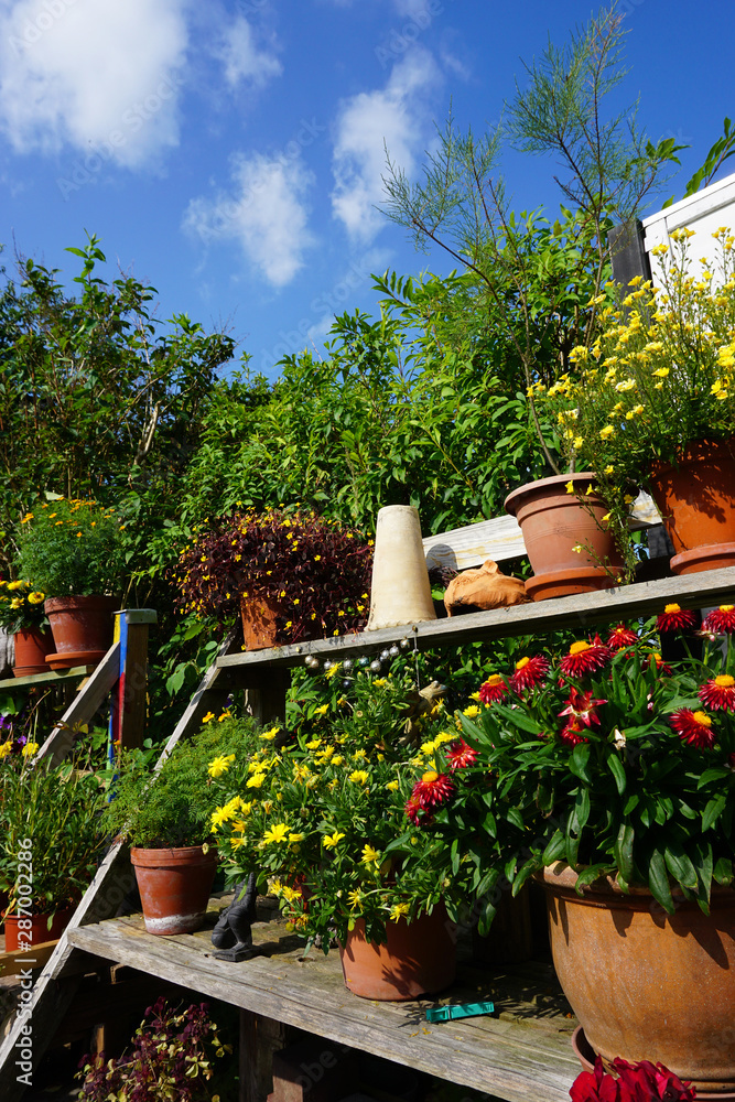 vertikal gärtnern Treppe mit Pflanzen und Sommerblumen im Garten Stock