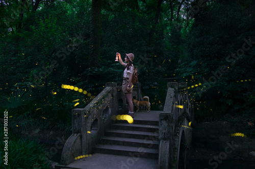 The little girl saw flying elves in the mountains and forests on summer nights. They were fireflies.