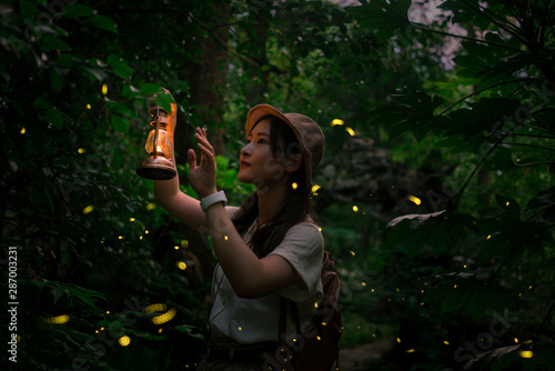 The little girl saw flying elves in the mountains and forests on summer nights. They were fireflies.