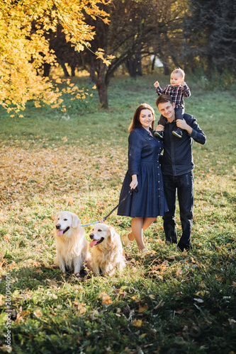 Family with a child and two golden retrievers in an autumn park