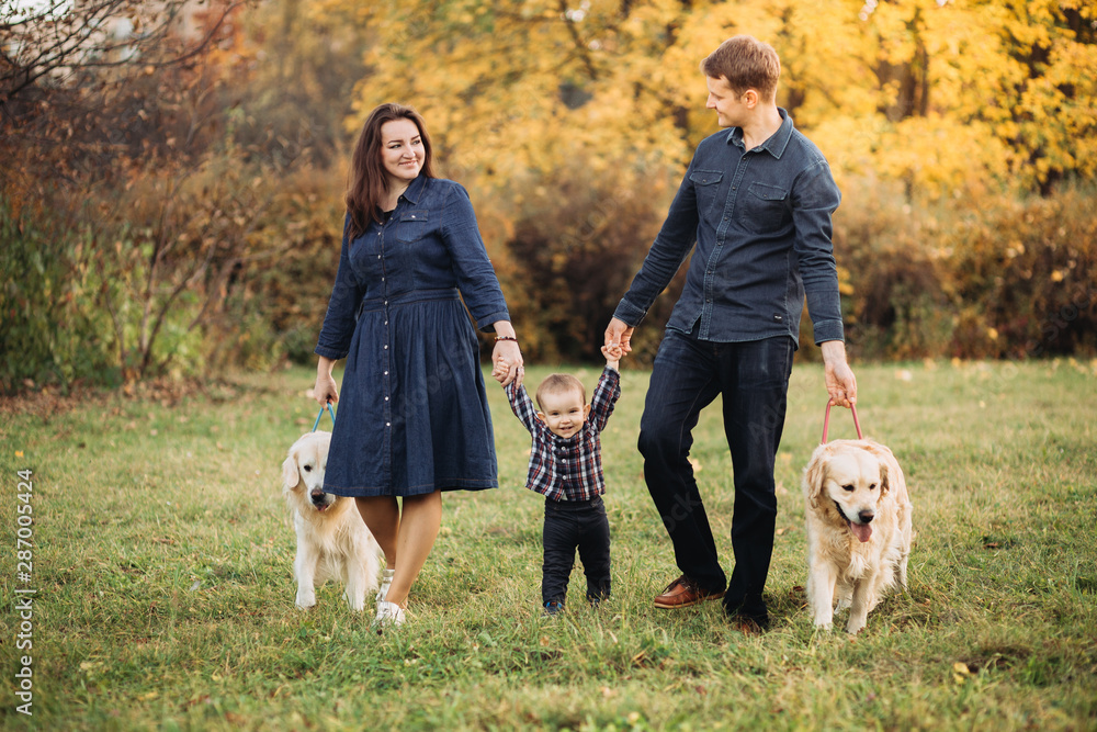 Family with a child and two golden retrievers in an autumn park Family with a child and two golden retrievers in an autumn park