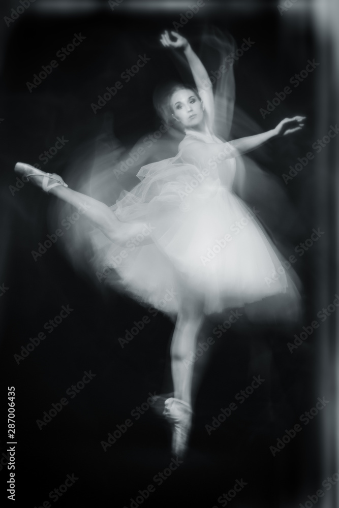Fototapeta premium professional ballet dancer