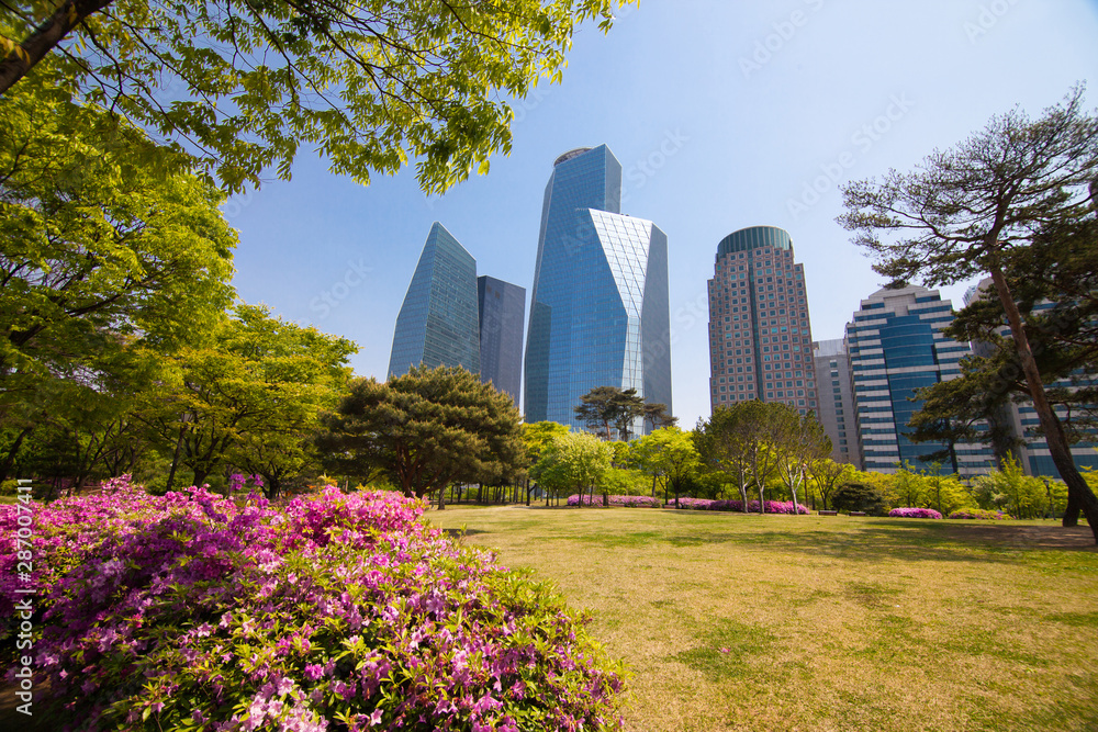 Naklejka premium Park near office buildings in Seoul