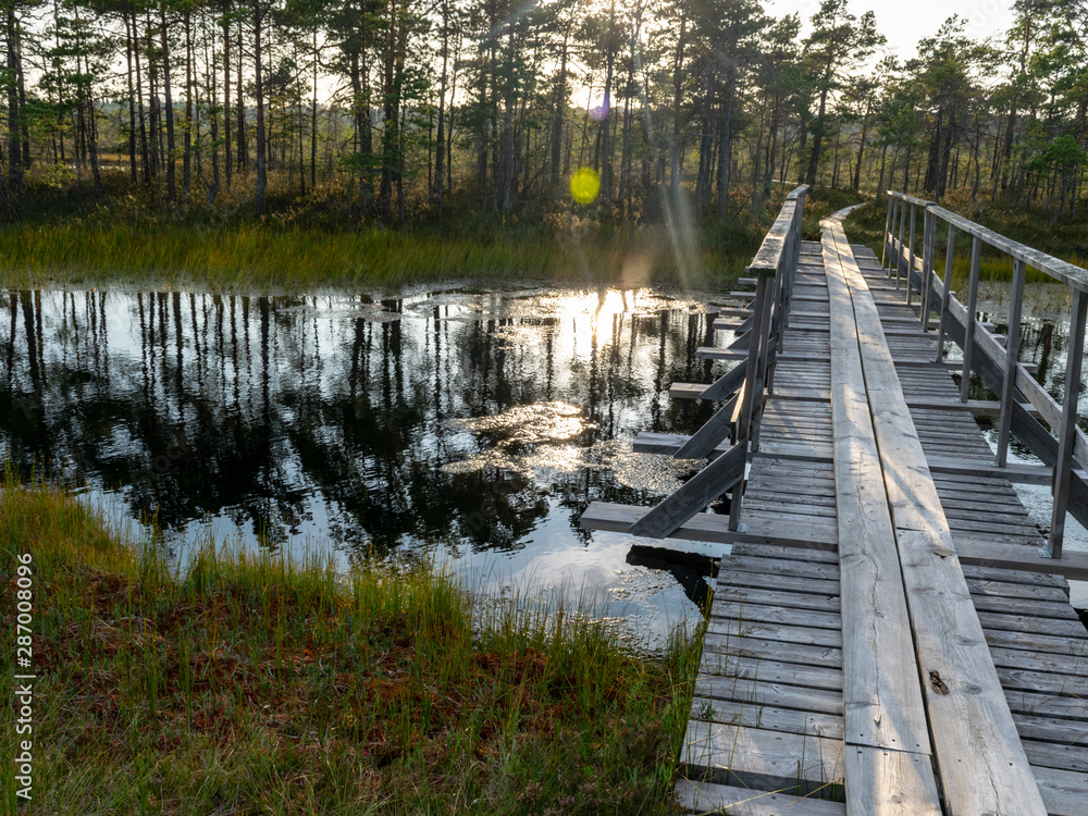 Fototapeta premium beautiful landscape with small bog lakes, wonderful glittering, white clouds, Nigula bog, Estonia