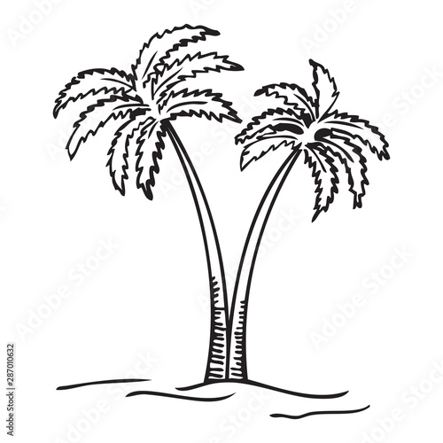 Black and white vector illustration of palm tree