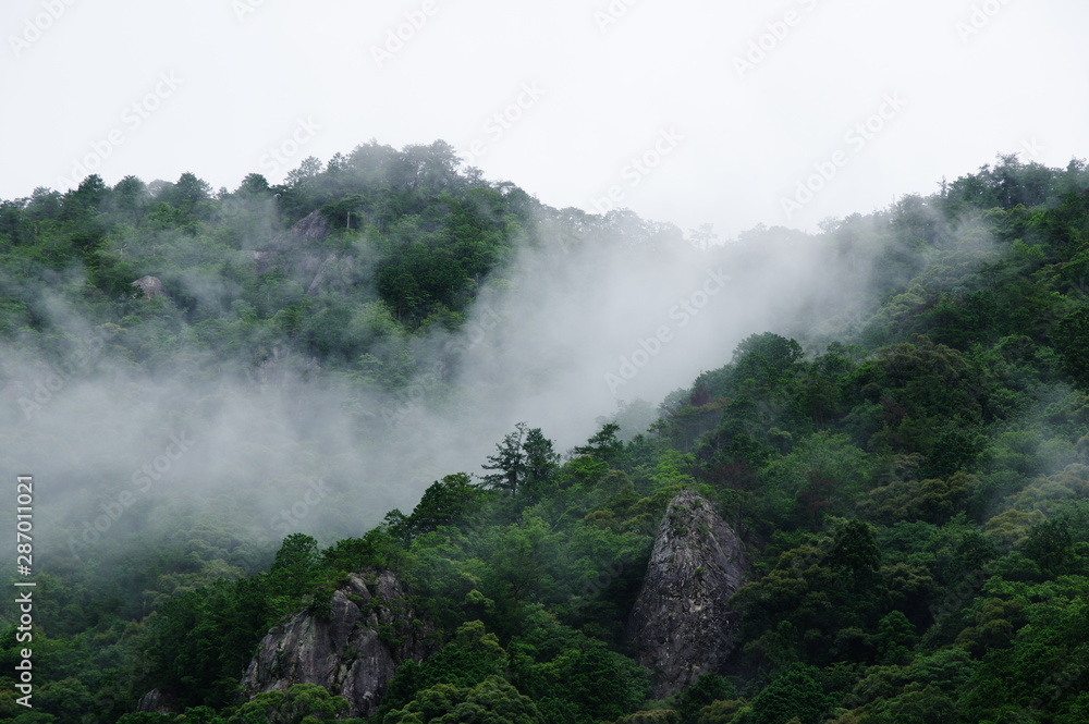 Fototapeta premium 雨上がりの山