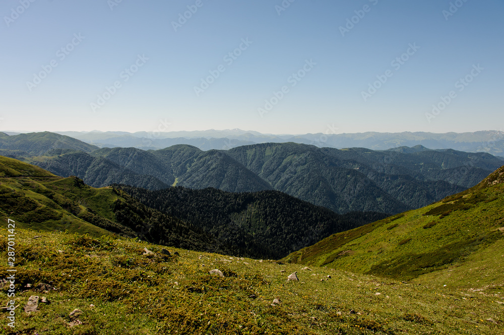 View of the hills covered with green grass in the background of mountain with evergreen forests