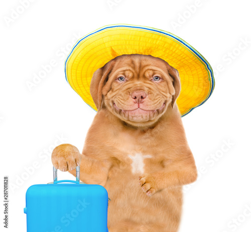 Smiling puppy with summer hat holding suitcase. isolated on white background