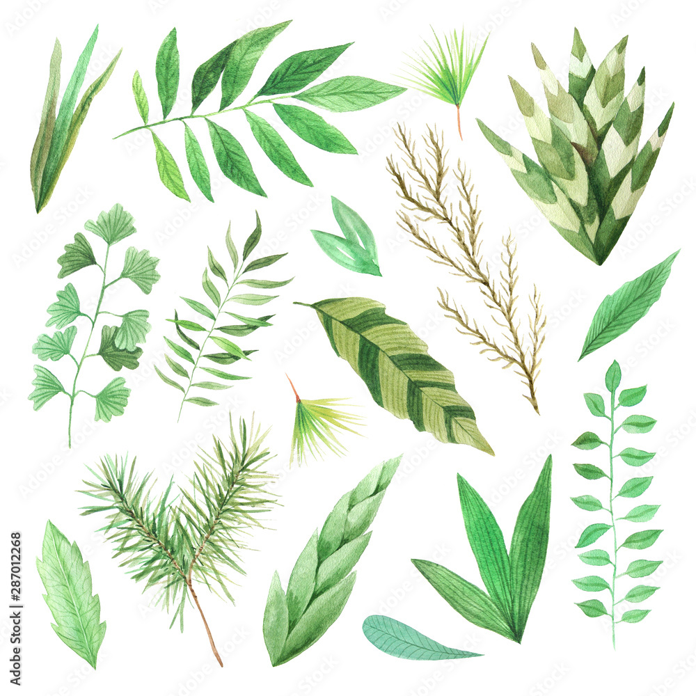 Fototapeta premium Watercolor green leaves set