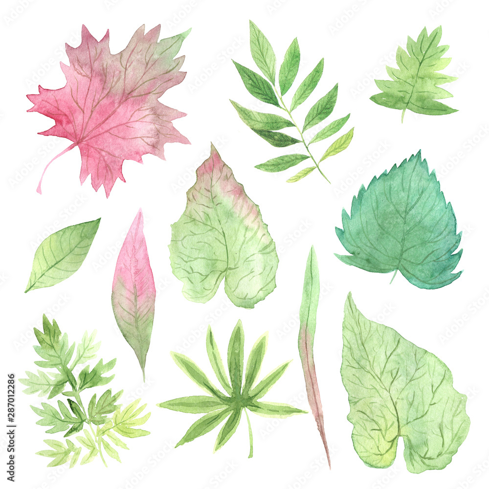 Watercolor green leaves set