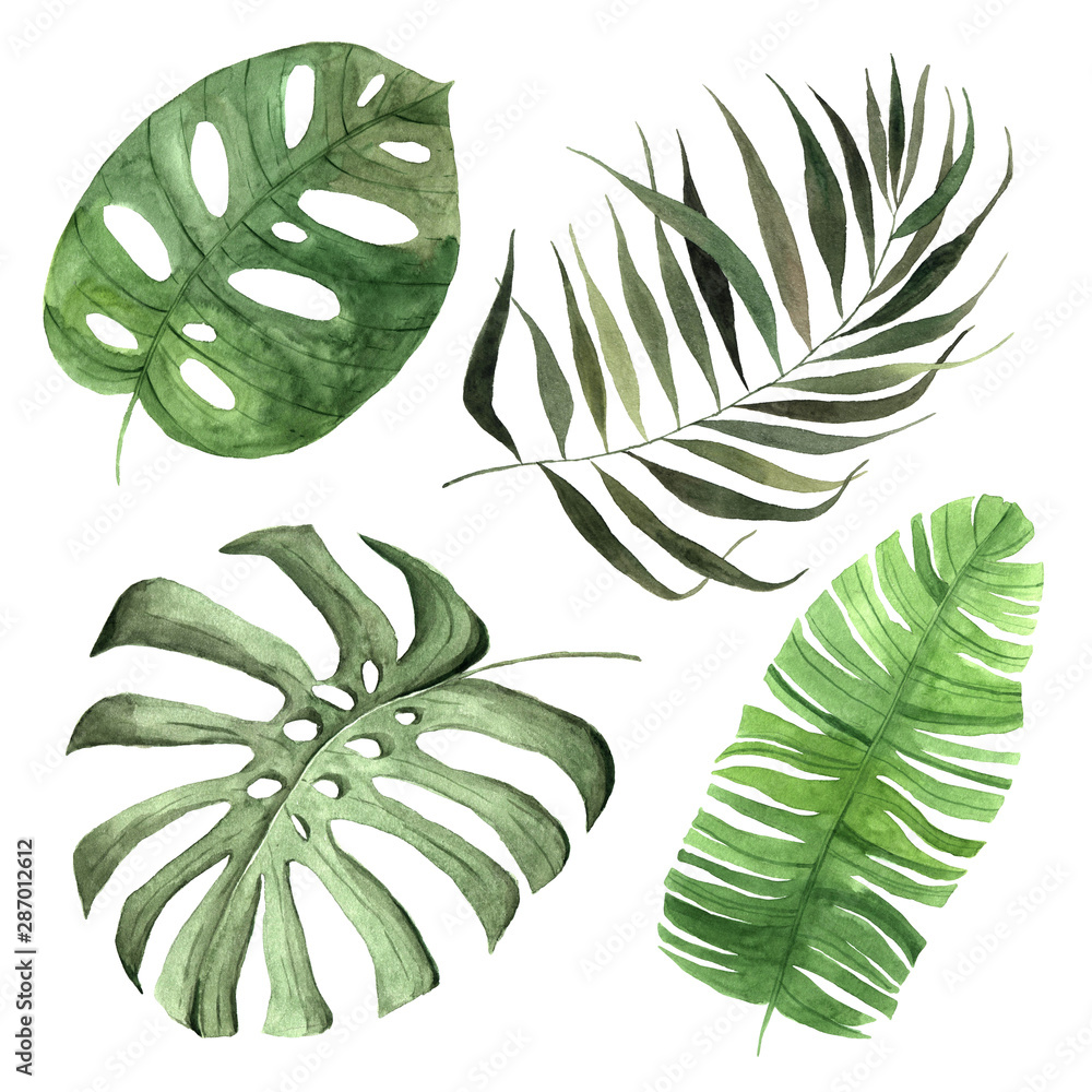 Obraz Watercolor green tropical leaves set