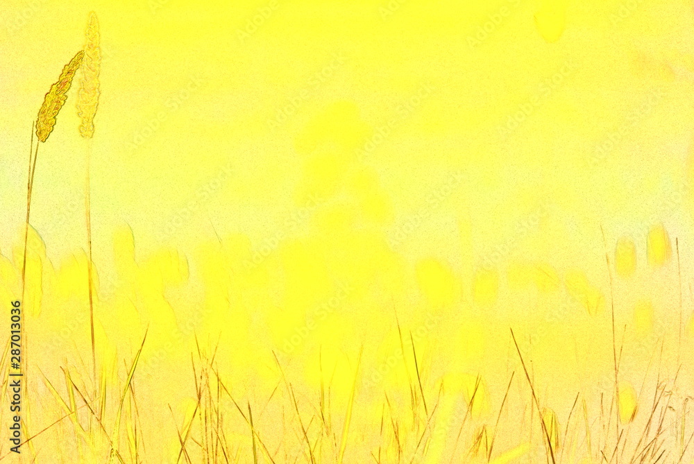 wild field plants on a yellow background wild field plants on a yellow background