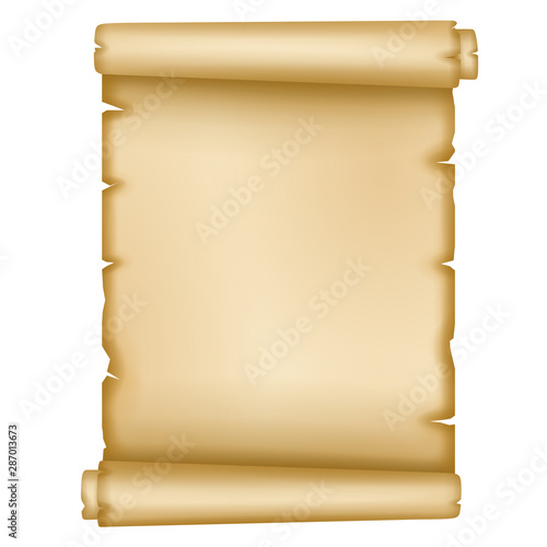 isolated old parchment vector