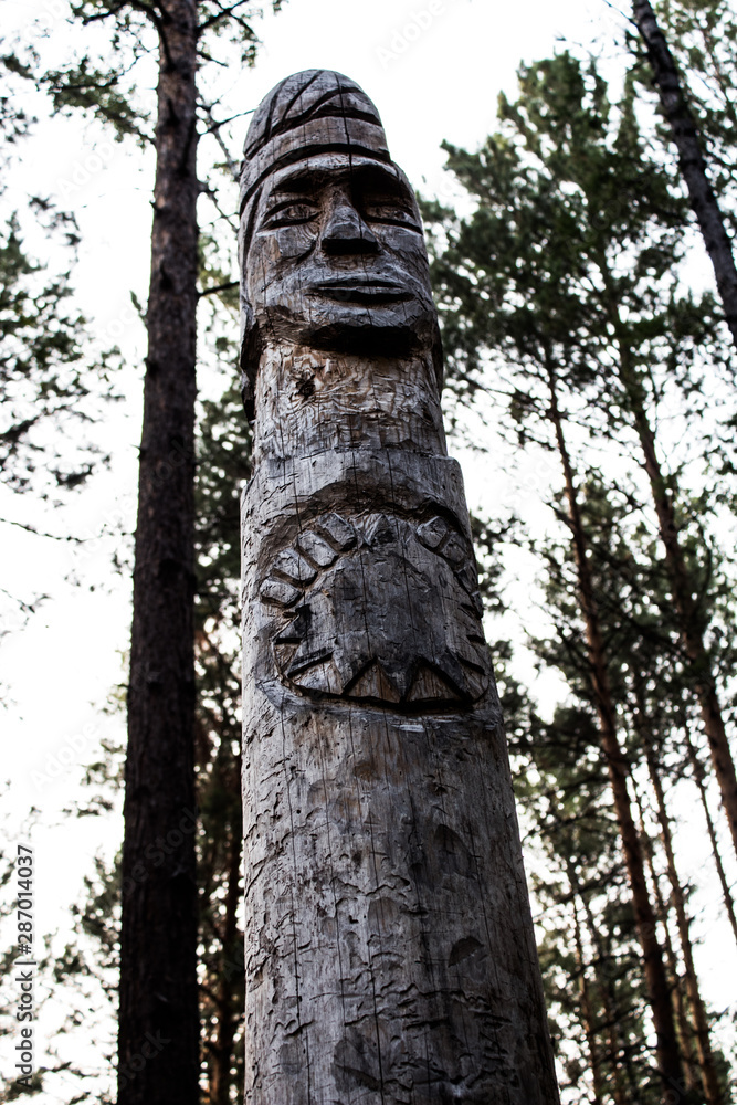 forest idol forest idol