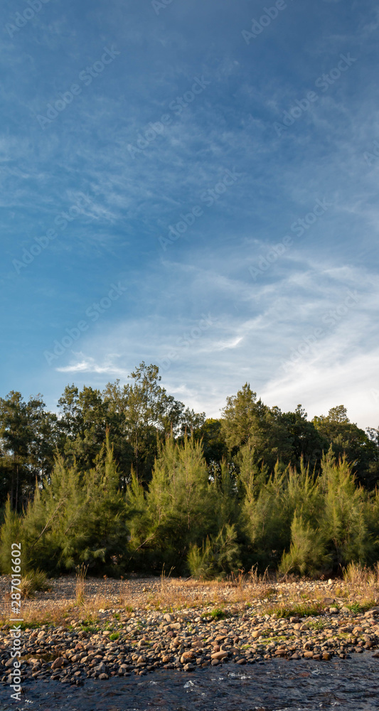 Obraz premium landscape with trees and blue sky