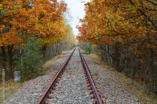 Rail track in the forest in autumn 