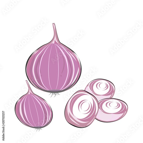 Red Onion bulb and slices, Thai food seasoning, herbs, vegetable illustration on white background