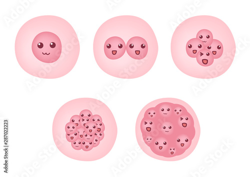 fertilized egg cell cartoon animetion