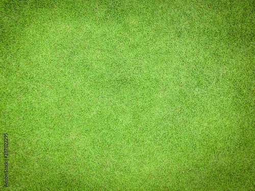 Green grass texture pattern background golf course turf lawn from top view in bright yellow green color © Chinnapong