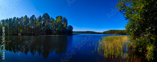 panorama of a forest lake under a blue sky