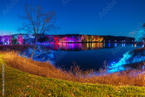 Teamlab Digitized Lakeside and Forest in Saitama