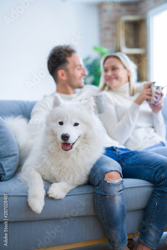 Young beautiful couple with dog sitting on the sofa drinking coffee at new home around cardboard boxes © Krakenimages.com