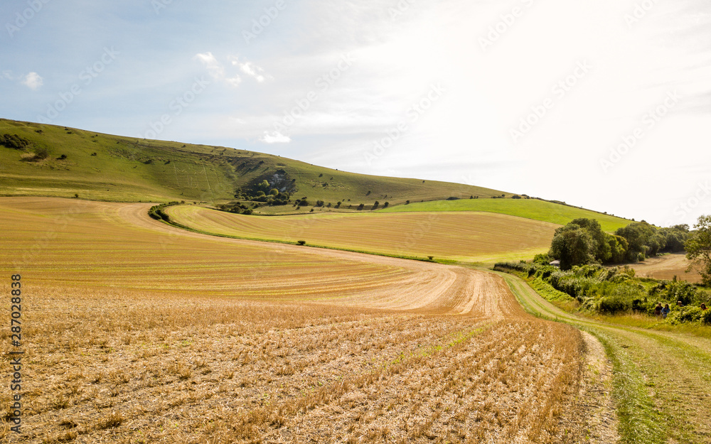 The Long Man of Wilmington and the South Downs, England. A summer view of the East Sussex countryside with the landmark hill figure visible in the distance.