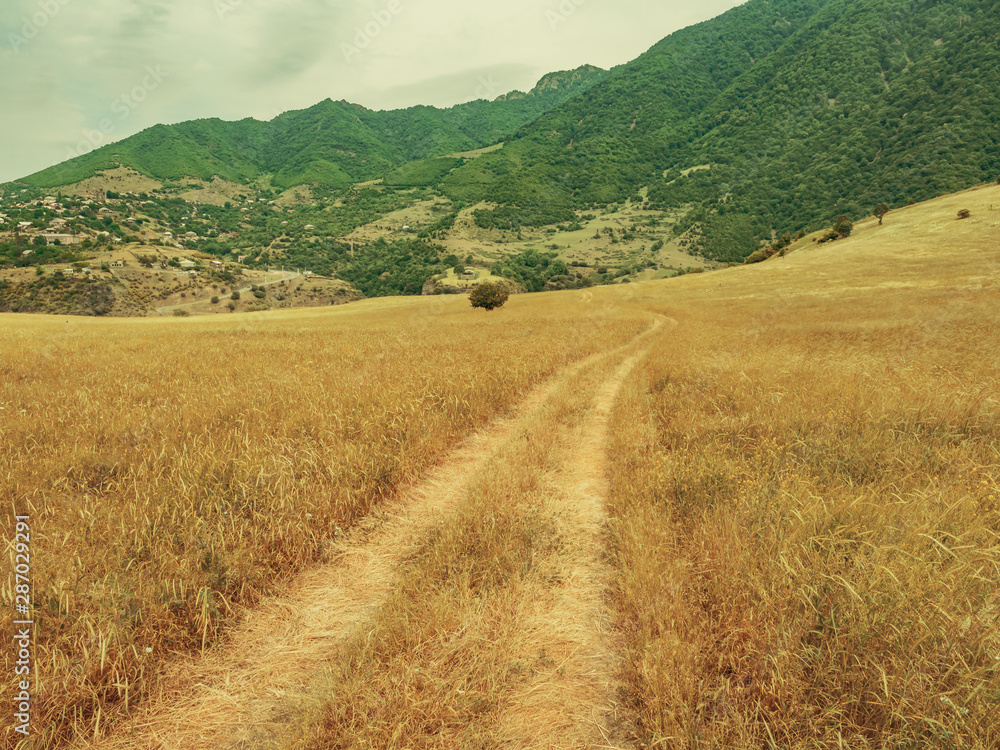 Fototapeta premium Dirt road through field leading to mountain village in summer