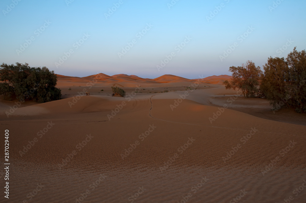 Merzouga Morocco, desert landscape with vehicle tracks over sand dunes at dusk