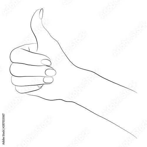 Vector illustration of hand in simple outline style. Thumbs up