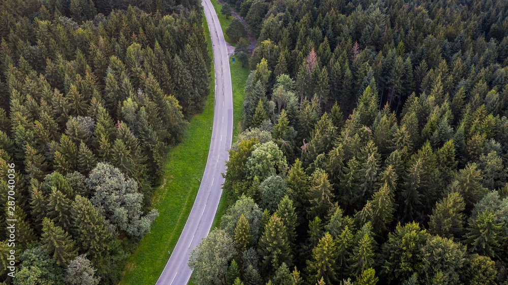 Straße durch einen Wald - Luftbild