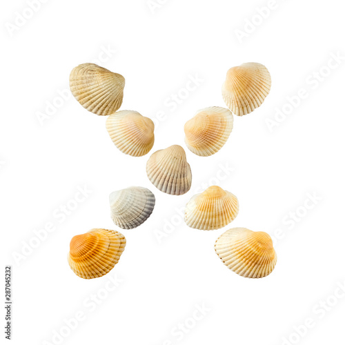 Letter "x" composed from seashells, isolated on white background