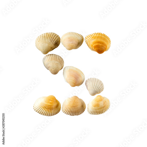 Letter "z" composed from seashells, isolated on white background