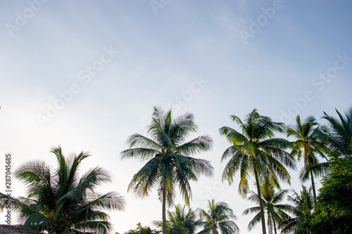 The coconut trees and the sky have beautiful clouds.