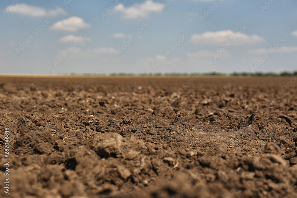 View of fertile ground surface on sunny day View of fertile ground surface on sunny day