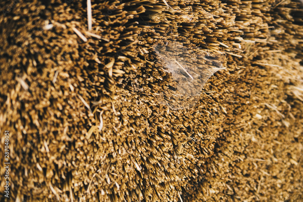 straw from thatched roof straw from thatched roof
