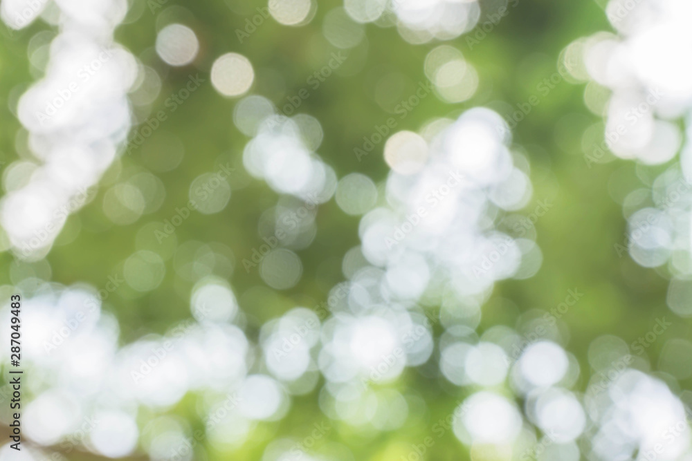 Blur of city park in background in, Spring and summer season, Nature concept. Blur of city park in background in, Spring and summer season, Nature concept.