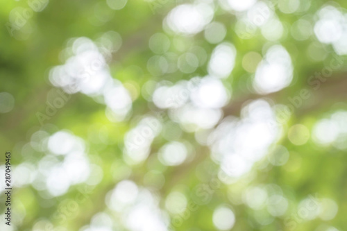 Blur of city park in background in, Spring and summer season, Nature concept.