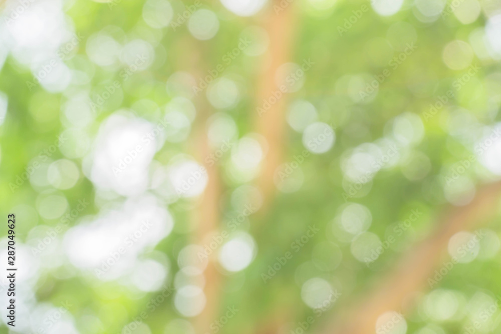 Blur of city park in background in, Spring and summer season, Nature concept. Blur of city park in background in, Spring and summer season, Nature concept.