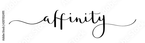 AFFINITY vector brush calligraphy banner with swashes photo